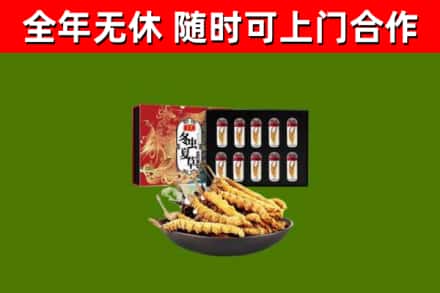 博山回收冬虫夏草价格